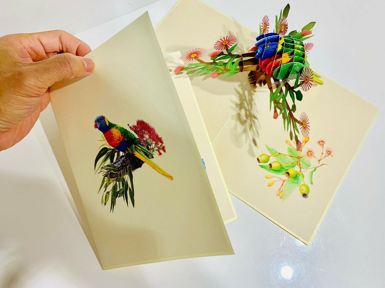 Vietnamese Pop-up Card - Animal 3D Card - Blooming parrot - ASP11